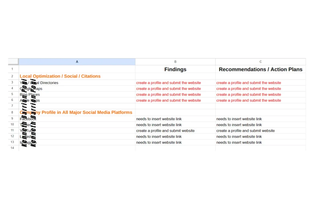 Social Signals/Citations Audit Template